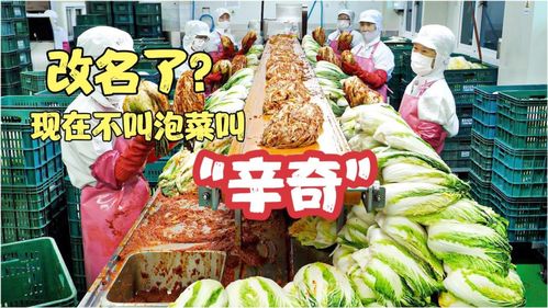 雨軒齋清真食品 堅守“辛奇”品質，踐行HACCP最高衛生標準